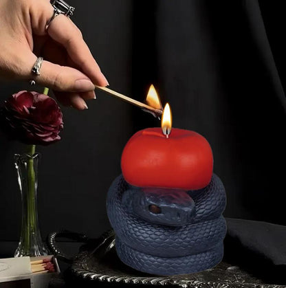 3D Heart with Snake Silicone Candle Mold